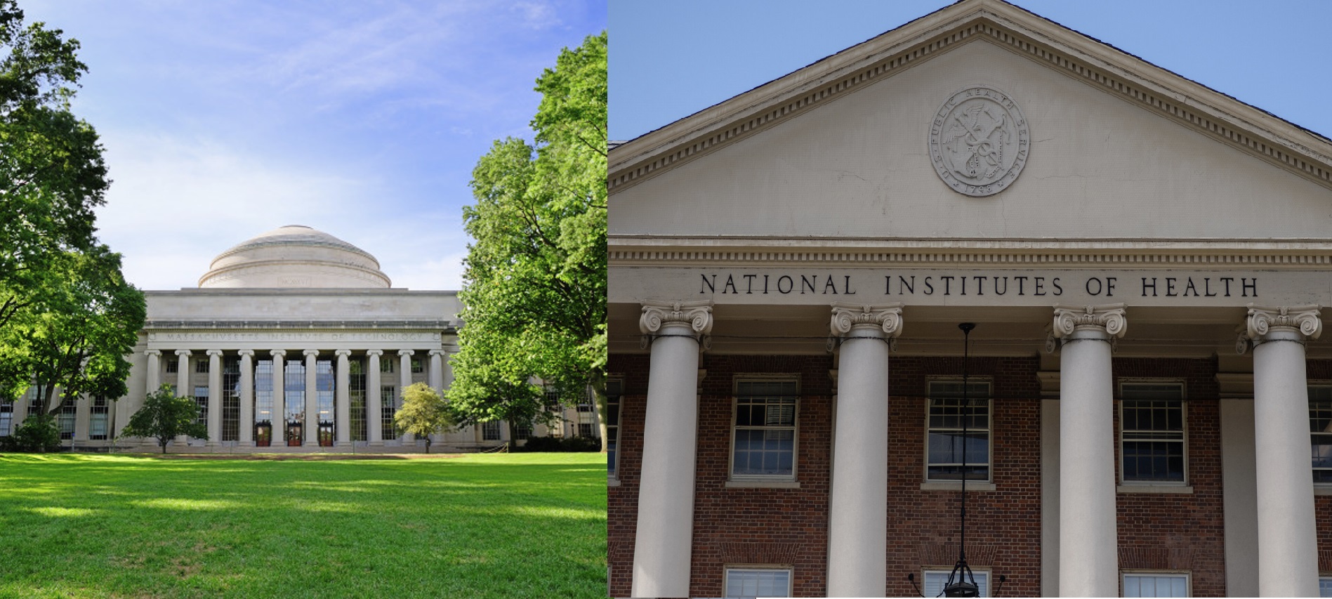 Doing a Postdoc at NIH vs. Elite Universities