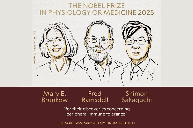 Immune System’s ‘Peacekeepers’ Win 2025 Nobel: Brunkow, Ramsdell and Sakaguchi Honored for Pioneering Work on Regulatory T Cells