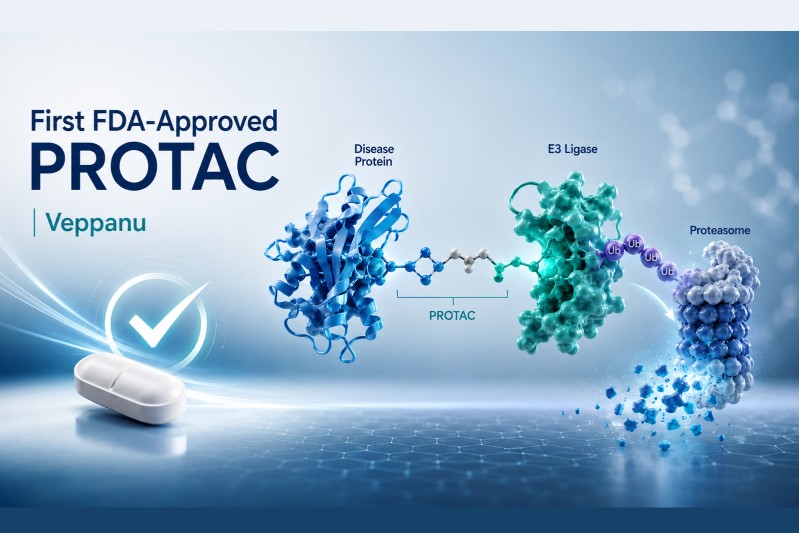 FDA Approval of Veppanu Marks a Turning Point for PROTAC Drugs